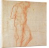 Study of a Nude by Michelangelo Buonarroti