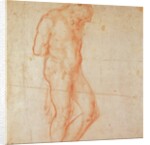 Study of a Nude by Michelangelo Buonarroti