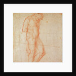 Study of a Nude by Michelangelo Buonarroti