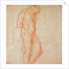 Study of a Nude by Michelangelo Buonarroti