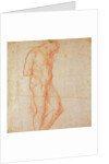 Study of a Nude by Michelangelo Buonarroti