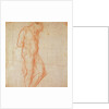 Study of a Nude by Michelangelo Buonarroti