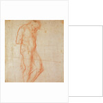 Study of a Nude by Michelangelo Buonarroti
