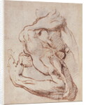Study of an Arm Inv.1859/5/14/819 by Michelangelo Buonarroti
