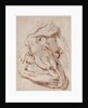 Study of an Arm Inv.1859/5/14/819 by Michelangelo Buonarroti