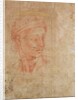 Study of a Head by Michelangelo Buonarroti