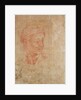 Study of a Head by Michelangelo Buonarroti