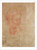 Study of a Head by Michelangelo Buonarroti
