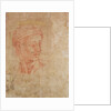 Study of a Head by Michelangelo Buonarroti