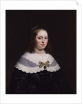 Portrait of Sophia Trip, Wife of Balthasar Coymans by Bartolomeus van der Helst