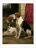 By the Kennels by Wright Barker