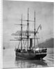 The Terra Nova sailed by Scott, in Antarctic waters, 1910 by English Photographer