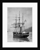 The Terra Nova sailed by Scott, in Antarctic waters, 1910 by English Photographer