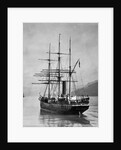The Terra Nova sailed by Scott, in Antarctic waters, 1910 by English Photographer