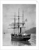 The Terra Nova sailed by Scott, in Antarctic waters, 1910 by English Photographer