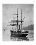 The Terra Nova sailed by Scott, in Antarctic waters, 1910 by English Photographer