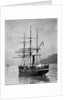 The Terra Nova sailed by Scott, in Antarctic waters, 1910 by English Photographer