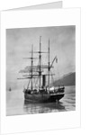 The Terra Nova sailed by Scott, in Antarctic waters, 1910 by English Photographer