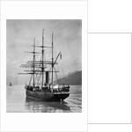 The Terra Nova sailed by Scott, in Antarctic waters, 1910 by English Photographer