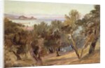 Corfu, 19th century by Edward Lear