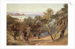 Corfu, 19th century by Edward Lear