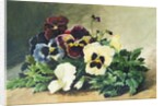 Winter Pansies, 1884 by Louis Charles Bombled