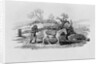 Geese carried to market from 'History of British Birds and Quadrupeds' by Thomas Bewick