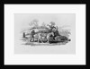 Geese carried to market from 'History of British Birds and Quadrupeds' by Thomas Bewick