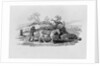 Geese carried to market from 'History of British Birds and Quadrupeds' by Thomas Bewick