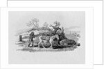 Geese carried to market from 'History of British Birds and Quadrupeds' by Thomas Bewick
