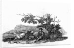 Man Seated by a Stunted Tree from 'History of British Birds and Quadrupeds' by Thomas Bewick
