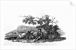 Man Seated by a Stunted Tree from 'History of British Birds and Quadrupeds' by Thomas Bewick