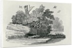 Fox escaping by Thomas Bewick