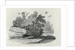 Fox escaping by Thomas Bewick