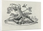 A Civet with a Cockerel from 'History of Quadrupeds', 1790 by Thomas Bewick