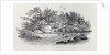 A Bend in the River from 'History of British Birds, Volume 2: Water Birds', 1804 by Thomas Bewick