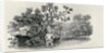 Playing a Salmon from 'History of British Birds and Quadrupeds' by Thomas Bewick