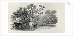 Playing a Salmon from 'History of British Birds and Quadrupeds' by Thomas Bewick