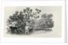 Playing a Salmon from 'History of British Birds and Quadrupeds' by Thomas Bewick