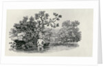 Playing a Salmon from 'History of British Birds and Quadrupeds' by Thomas Bewick