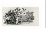 Playing a Salmon from 'History of British Birds and Quadrupeds' by Thomas Bewick