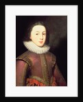 Tudor portrait of a Boy, c.1580-1600 by English School