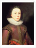 Tudor portrait of a Boy, c.1580-1600 by English School
