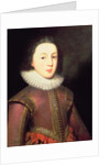 Tudor portrait of a Boy, c.1580-1600 by English School