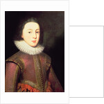 Tudor portrait of a Boy, c.1580-1600 by English School