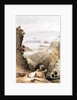 Mt. Kanchenjunga, Sikkim from Hooker's Journal, 1854 by Unknown