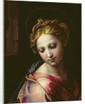 The Madonna, c.1518 by Raphael