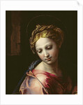 The Madonna, c.1518 by Raphael