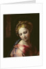 The Madonna, c.1518 by Raphael