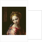 The Madonna, c.1518 by Raphael